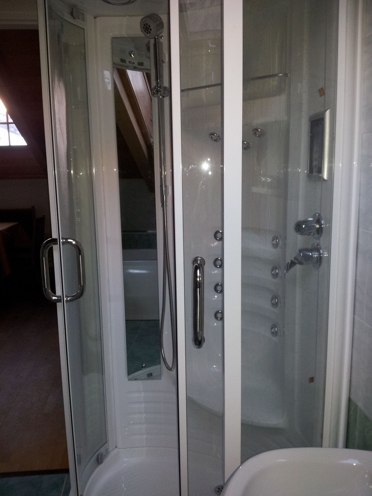 Apartment (Baga) | Bathroom shower