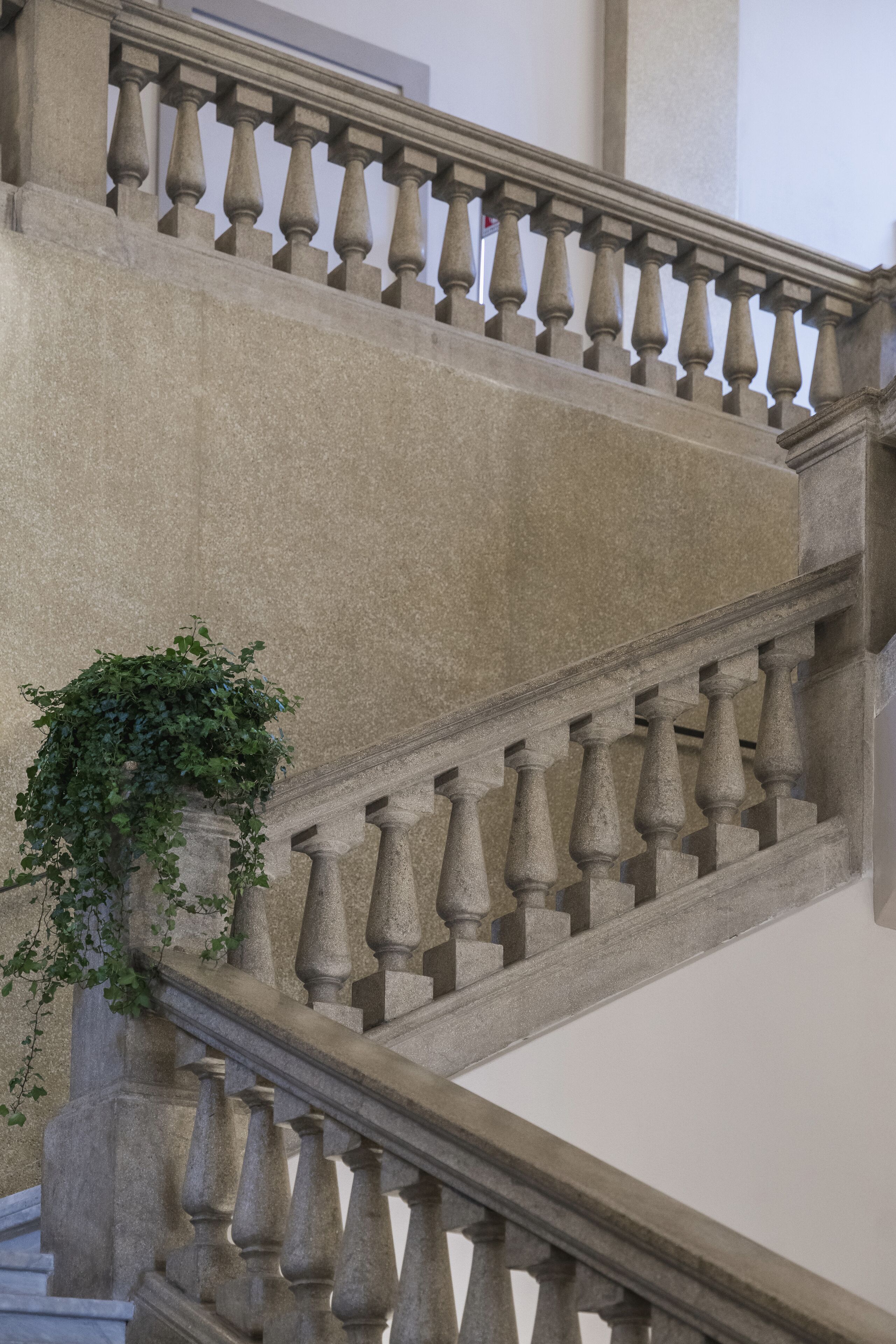 Un escalier en pierre, doté de balustrades, et une plante qui pousse sur le mur.