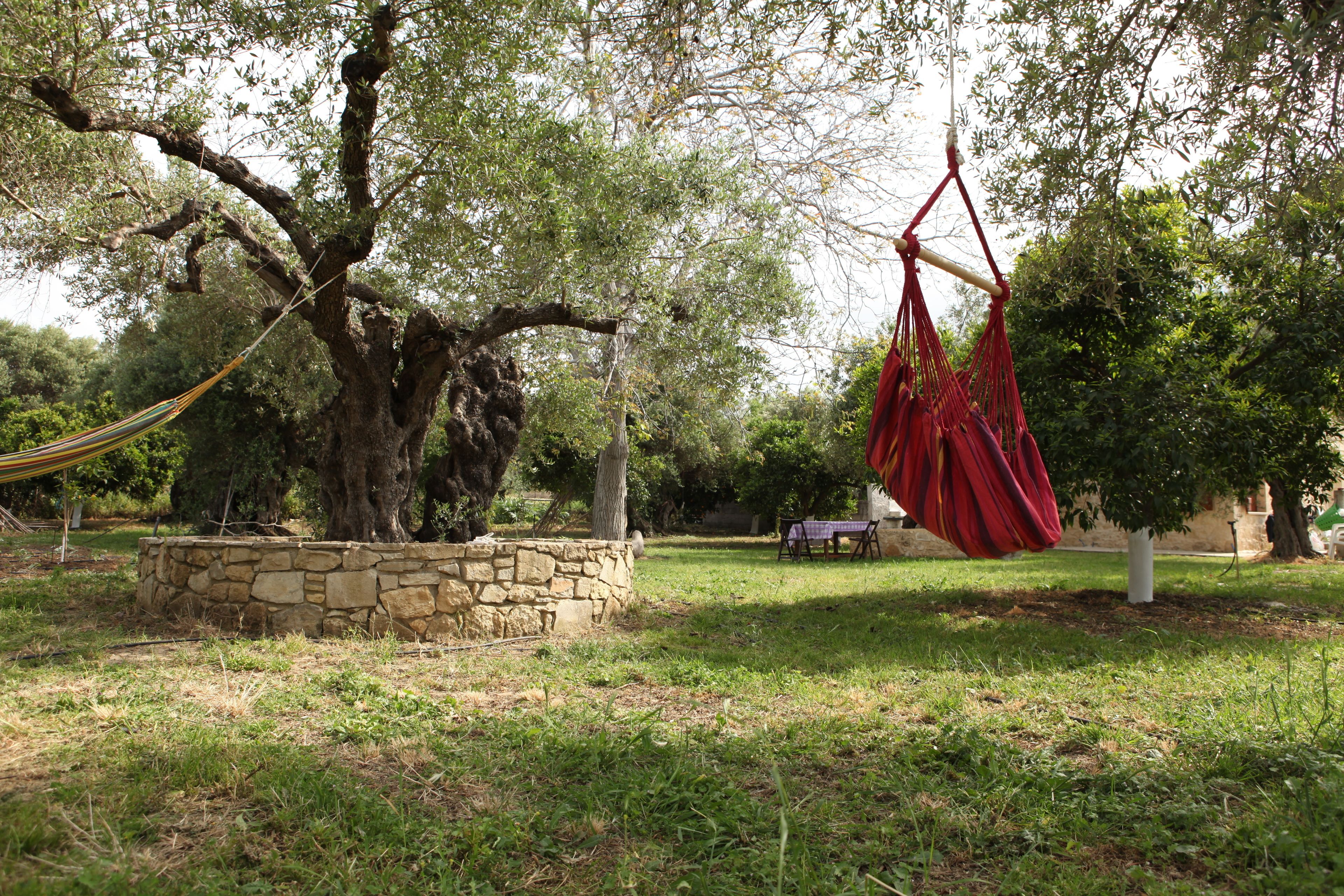 Una hamaca colgada de un árbol en un espacio al aire libre con césped, una pared de piedra y una mesa de picnic al fondo.