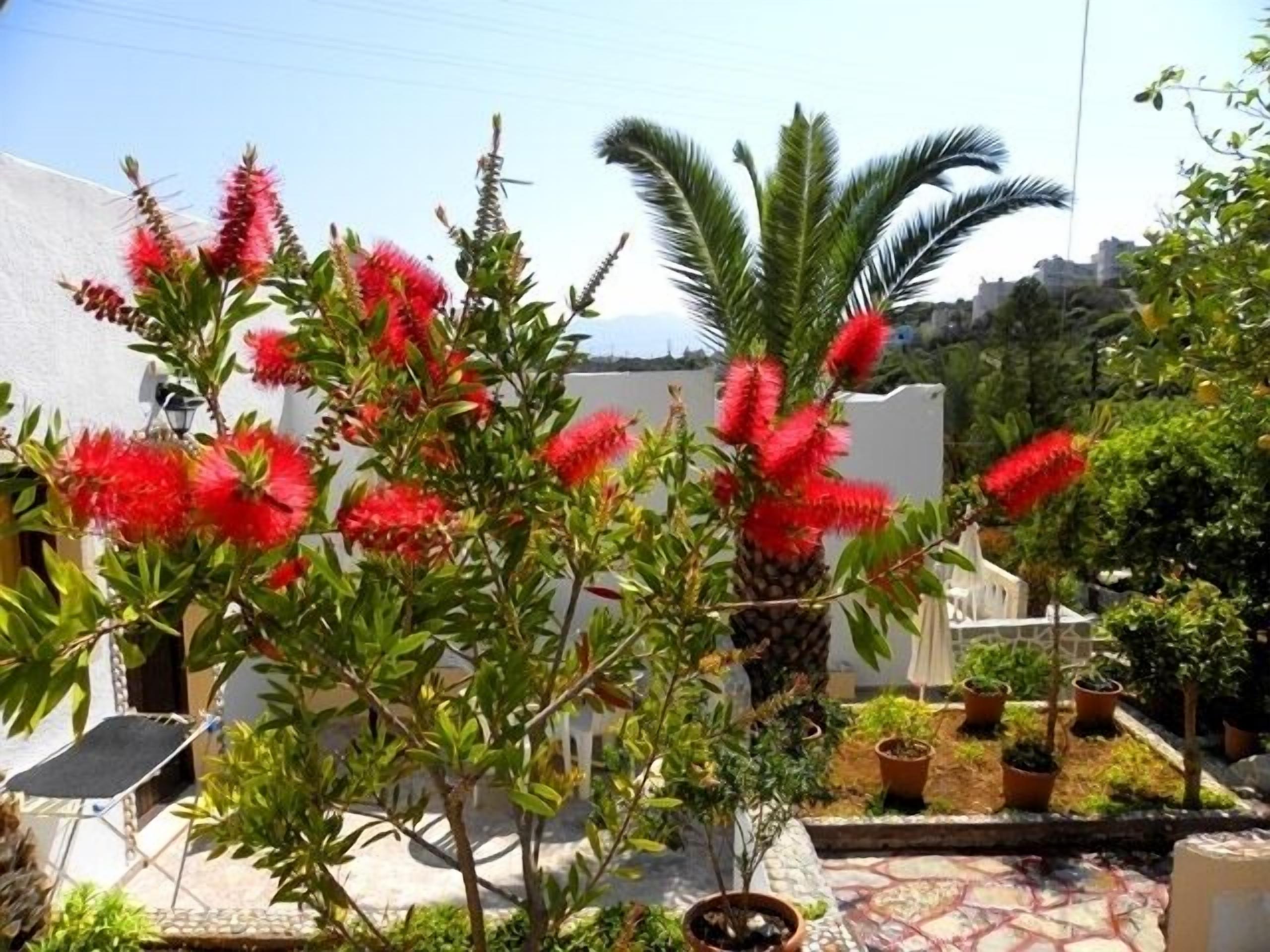 獨特裝潢、布置獨特、書桌、筆電工作空間