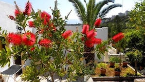 Unclassified image, 5 of 65, button - Villa Italiana (Agios Nikolaos)