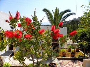 特色装修、特色家居、办公桌、笔记本电脑工作区