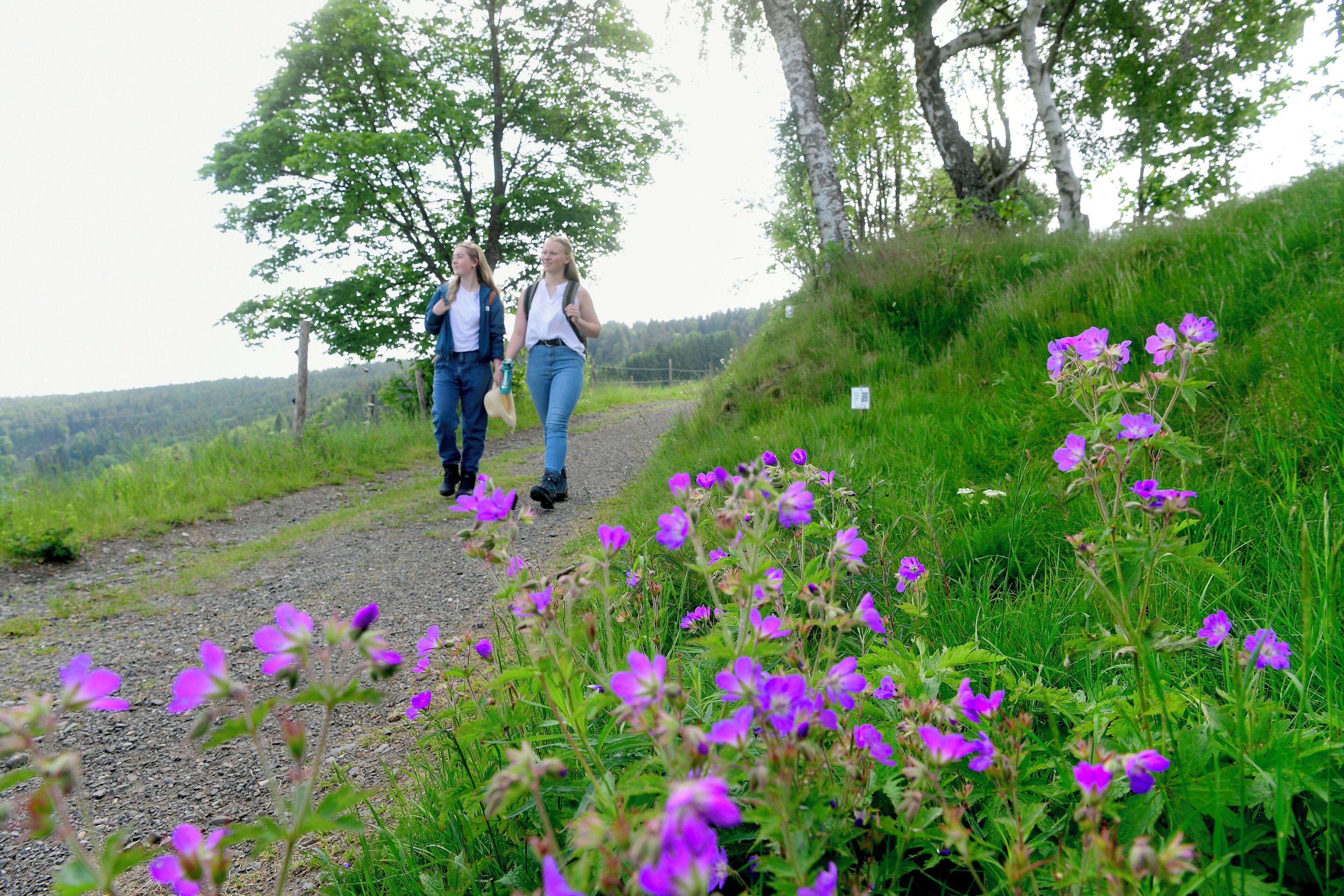 Two people walking on a gravel path surrounded by green grass and purple flowers.