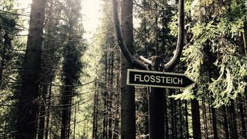 Wegwijzer in een bebost gebied met de tekst 'FLOSSSTEICH'.
