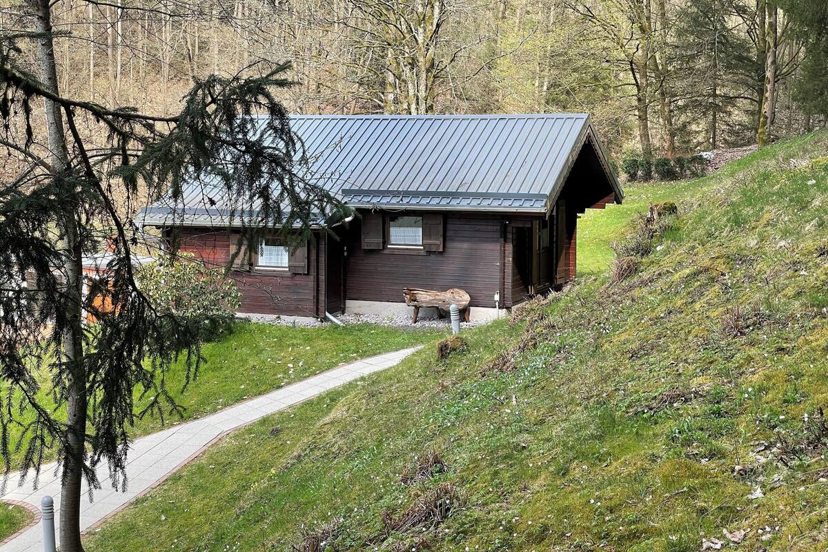 Une cabane avec un toit en métal, entourée d’arbres et située sur une colline verdoyante.