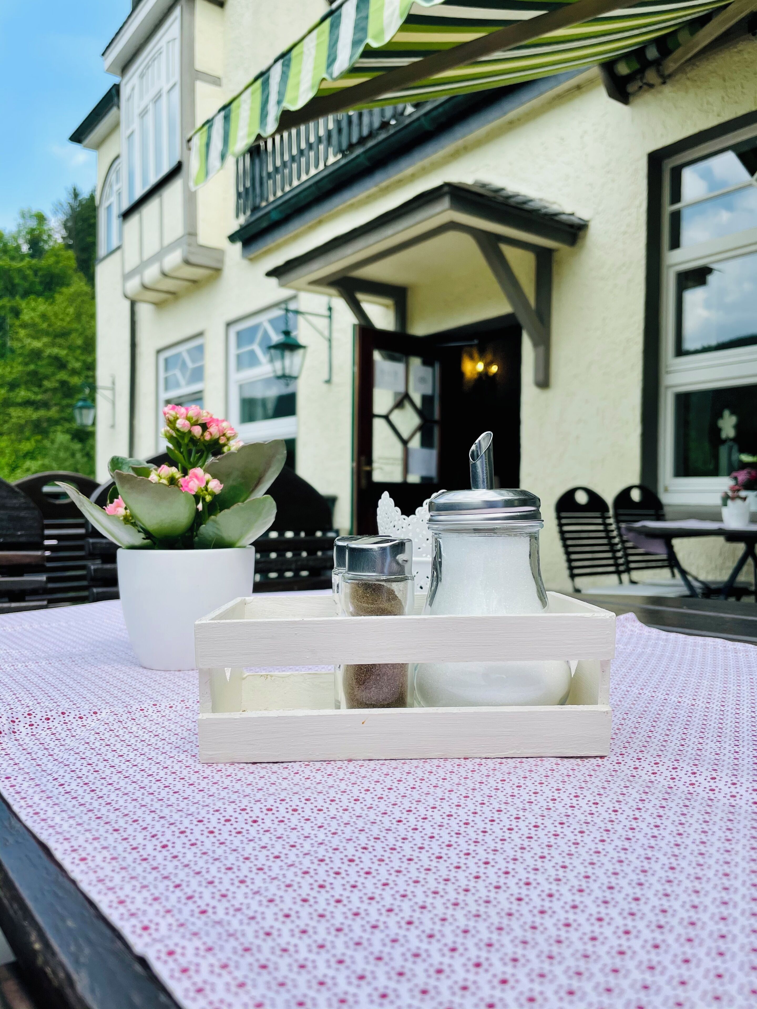 Une table recouverte d’une nappe en dentelle blanche, un pot de fleurs avec des fleurs roses, des salières et des poivrières, et un plateau blanc.