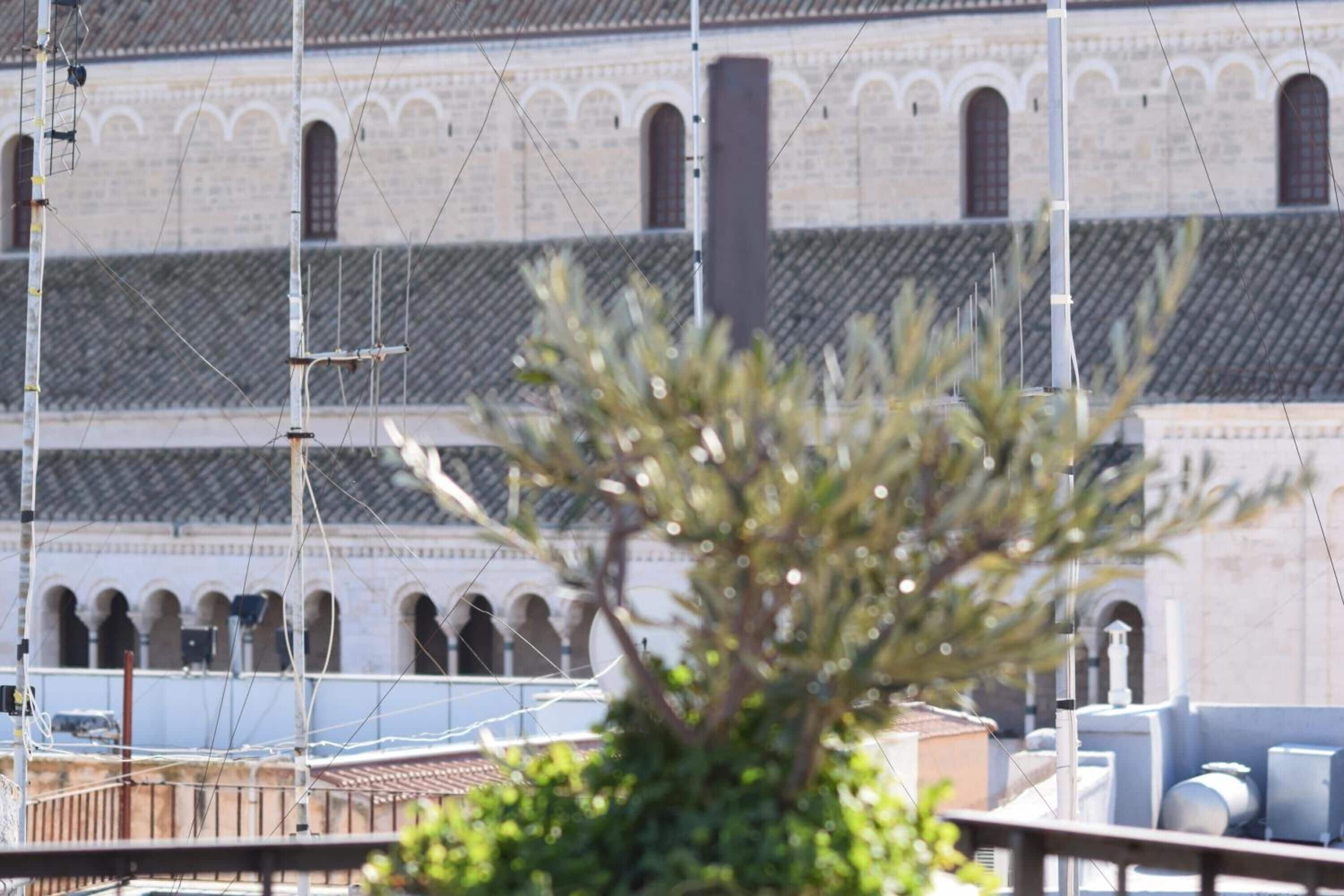 Foto - Il Trespolo Degli Angeli