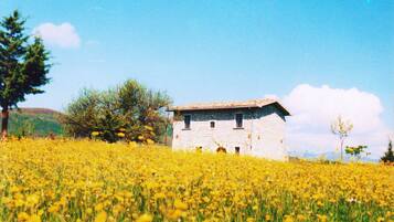 Panoramic Villa, 3 Bedrooms, Mountain View