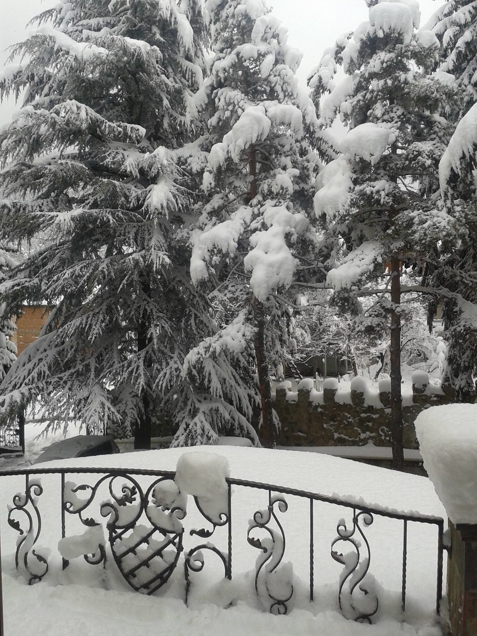 A snow-covered outdoor area with a metal railing and snow-laden trees.