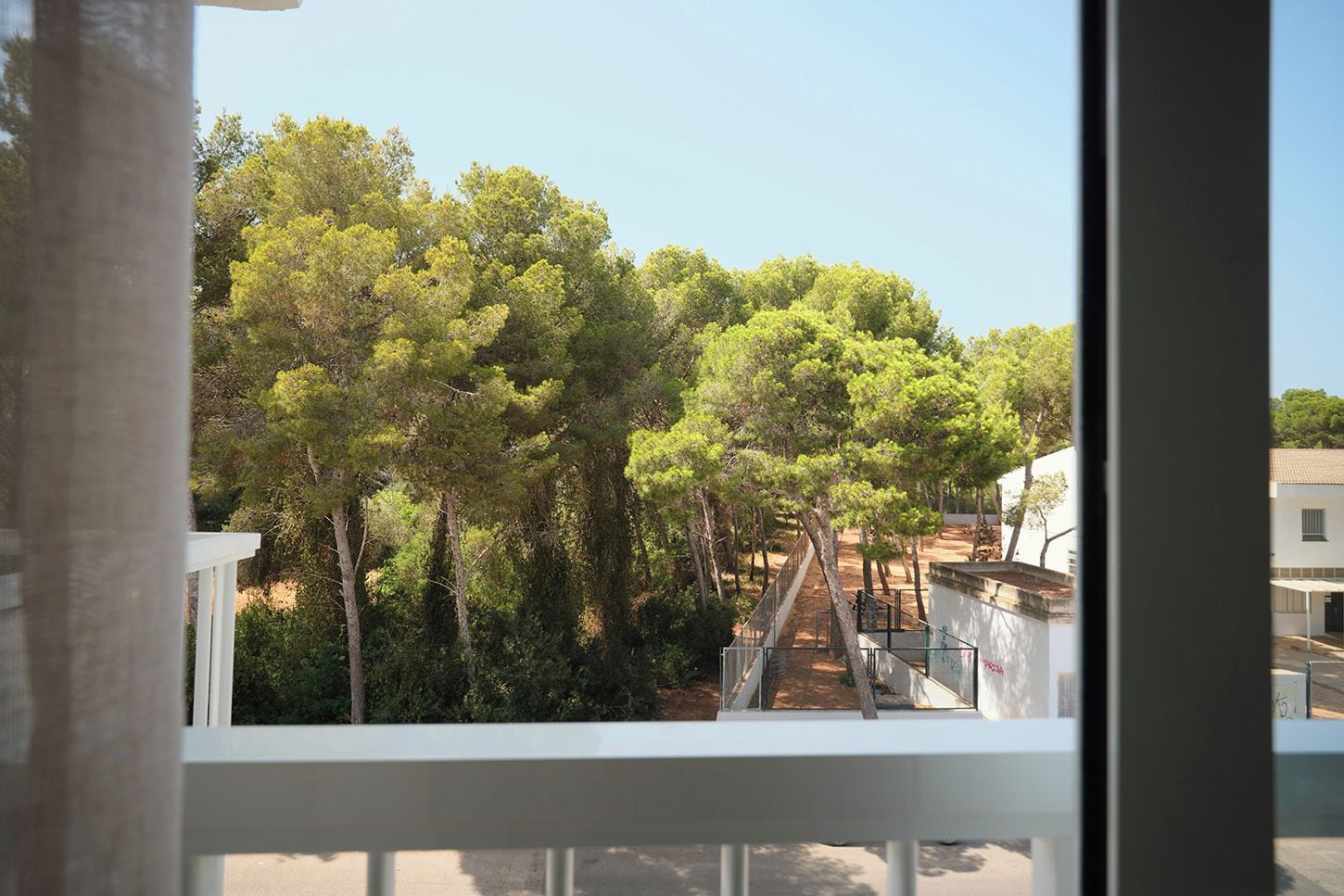 Une vue depuis une fenêtre donnant sur un sentier bordé d’arbres.