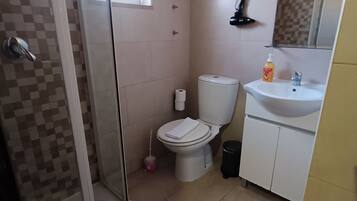 Une salle de bain équipée d’une douche, de toilettes, d’un lavabo et d’un miroir.
