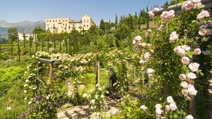 A garden with a pergola covered in pink roses, a building in the background, and a mountainous landscape. - Sonnenhotel Adler (Villandro)