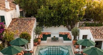 BV House - Membersclub - Adult only
