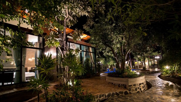 A nighttime view of a modern building with large windows, surrounded by lush greenery and a stone pathway.