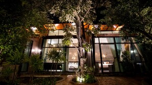 A tree-lined courtyard with a building featuring large windows and a warm interior glow.