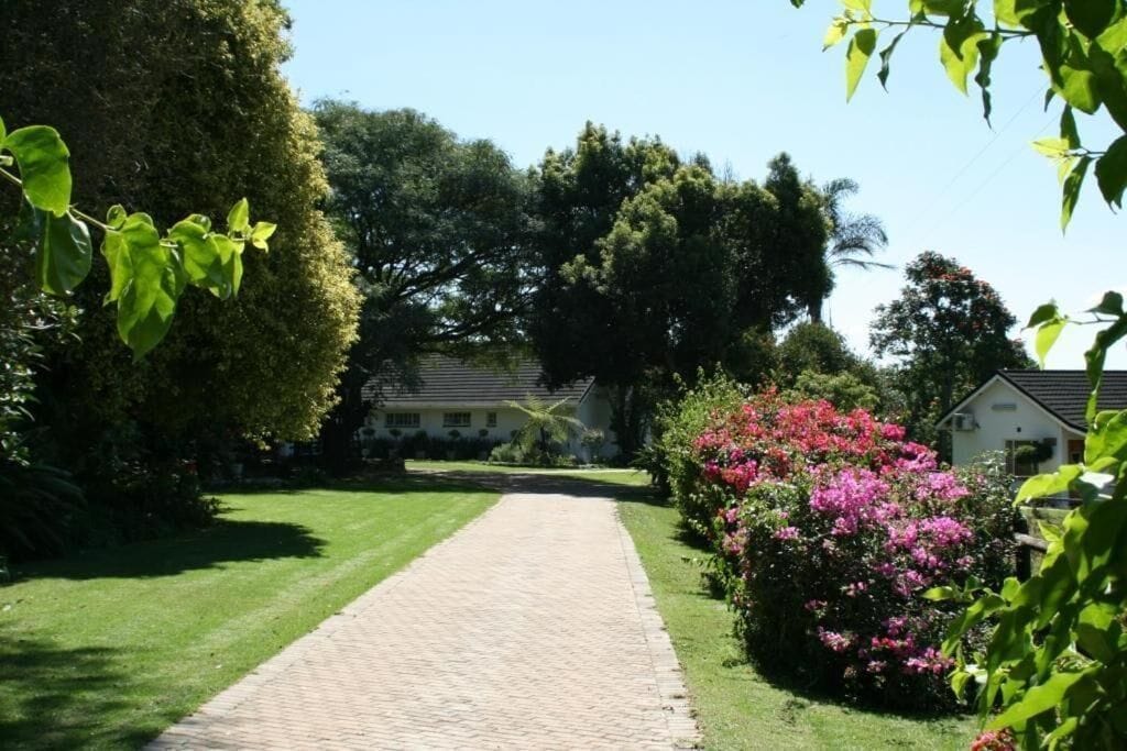 A paved pathway leading to a house surrounded by lush greenery and flowering bushes.