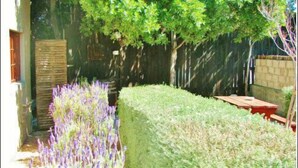 A neatly trimmed hedge, a wooden table, and a stack of firewood. - Tourist Lodge Gansbaai (Gansbaai)