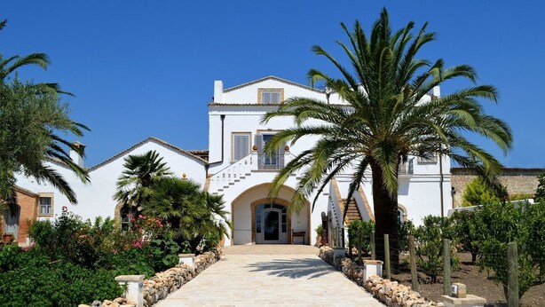 Una villa blanca con un camino de piedra que conduce a la entrada, rodeada de palmeras y un jardín.