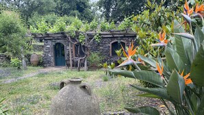 Ein rustikales Steinhaus mit Holztür und -fenstern, umgeben von üppiger Vegetation und einem großen Steingefäß im Vordergrund.