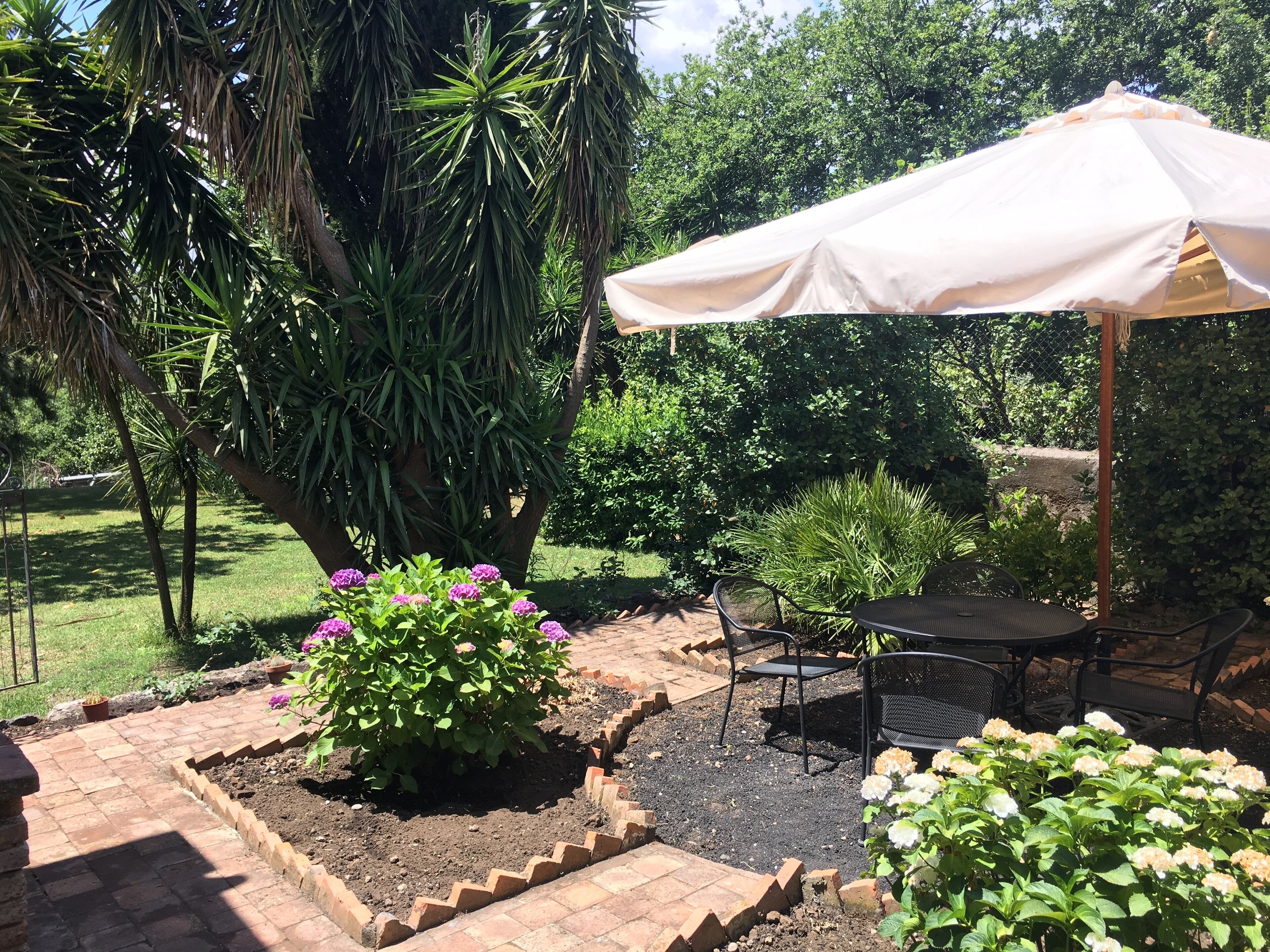 Eine Terrassenfläche mit Tisch und Stühlen unter einem Sonnensegel, umgeben von Kübelpflanzen und einem Garten.