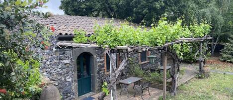 A stone building with a green door, a pergola with vines, and a stone pathway.