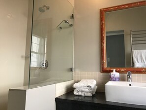 Self-Catering Studio Apartment 2 | Bathroom shower