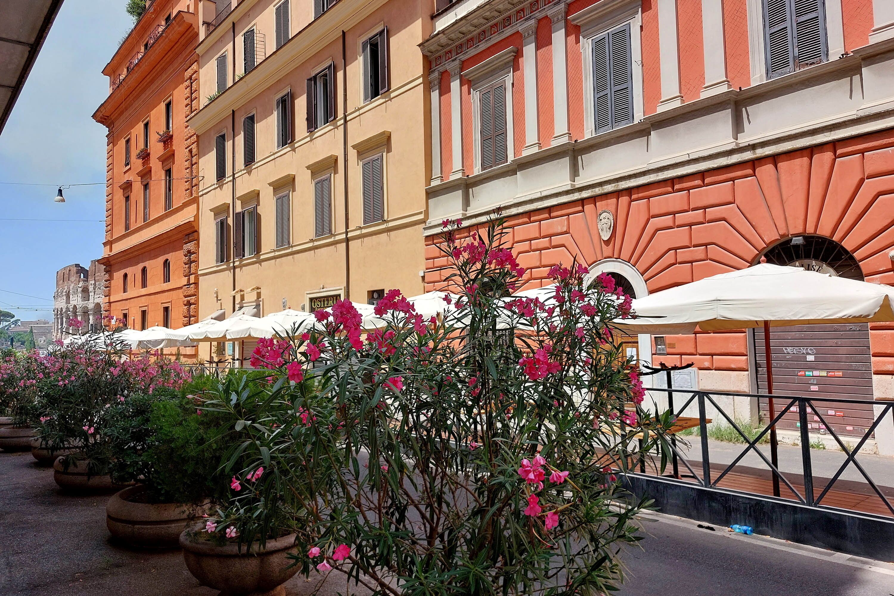 A row of outdoor tables with umbrellas, potted plants, and a building with classical architecture.
