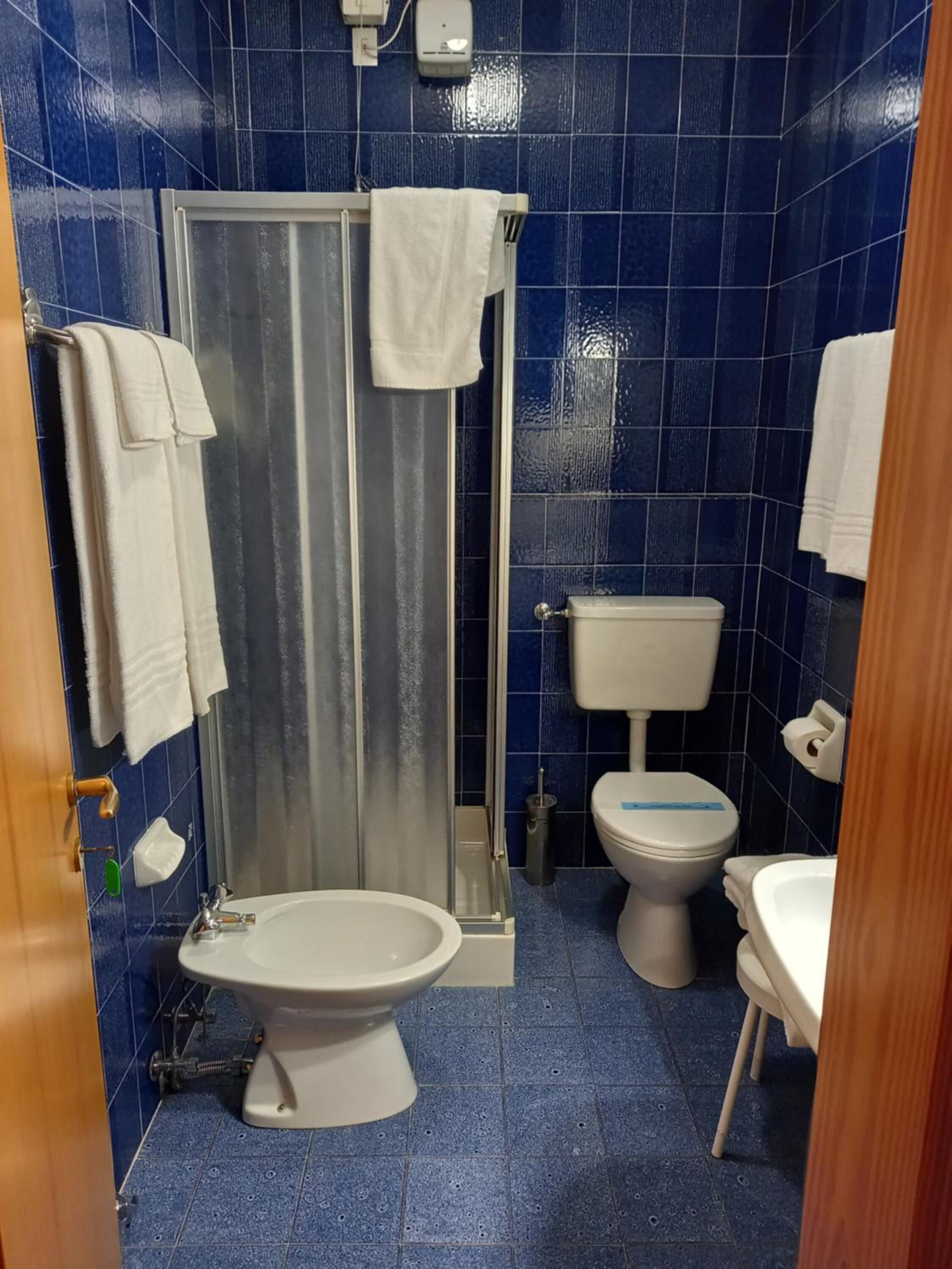 shower, free toiletries, hair dryer, bidet