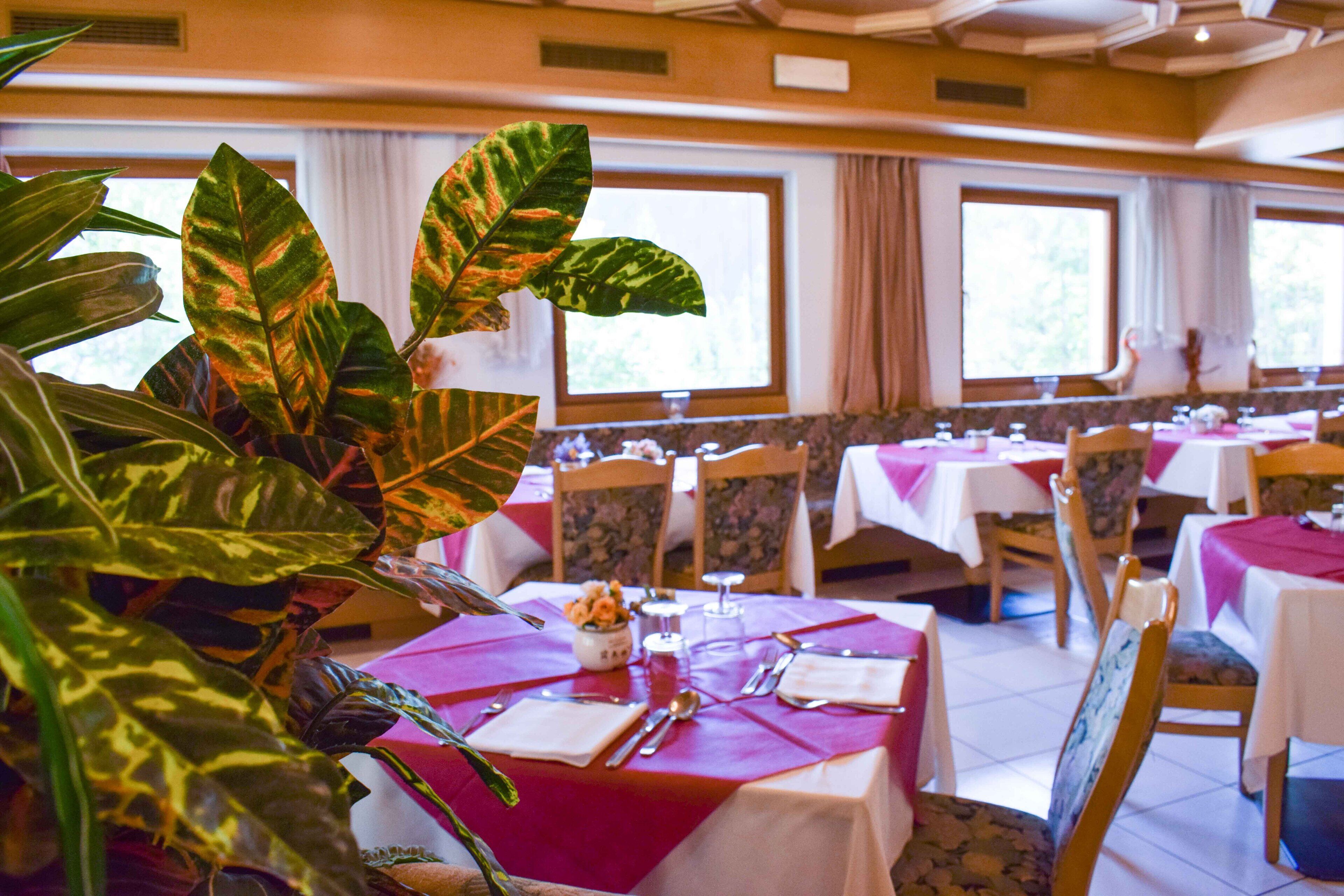 lunch and dinner served