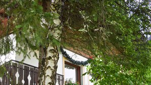 Un edificio de estilo japonés tradicional con terraza de madera, rodeado de abundante vegetación y rocas.