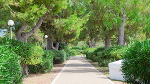 A paved pathway flanked by lush greenery and trees, leading towards a distant point. - Nicolaus Club Alimini Smile  (Otranto)