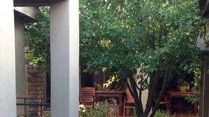 A courtyard with a brick pathway, potted plants, and a wooden table and chairs. - The Crown Guesthouse (Bethlehem)