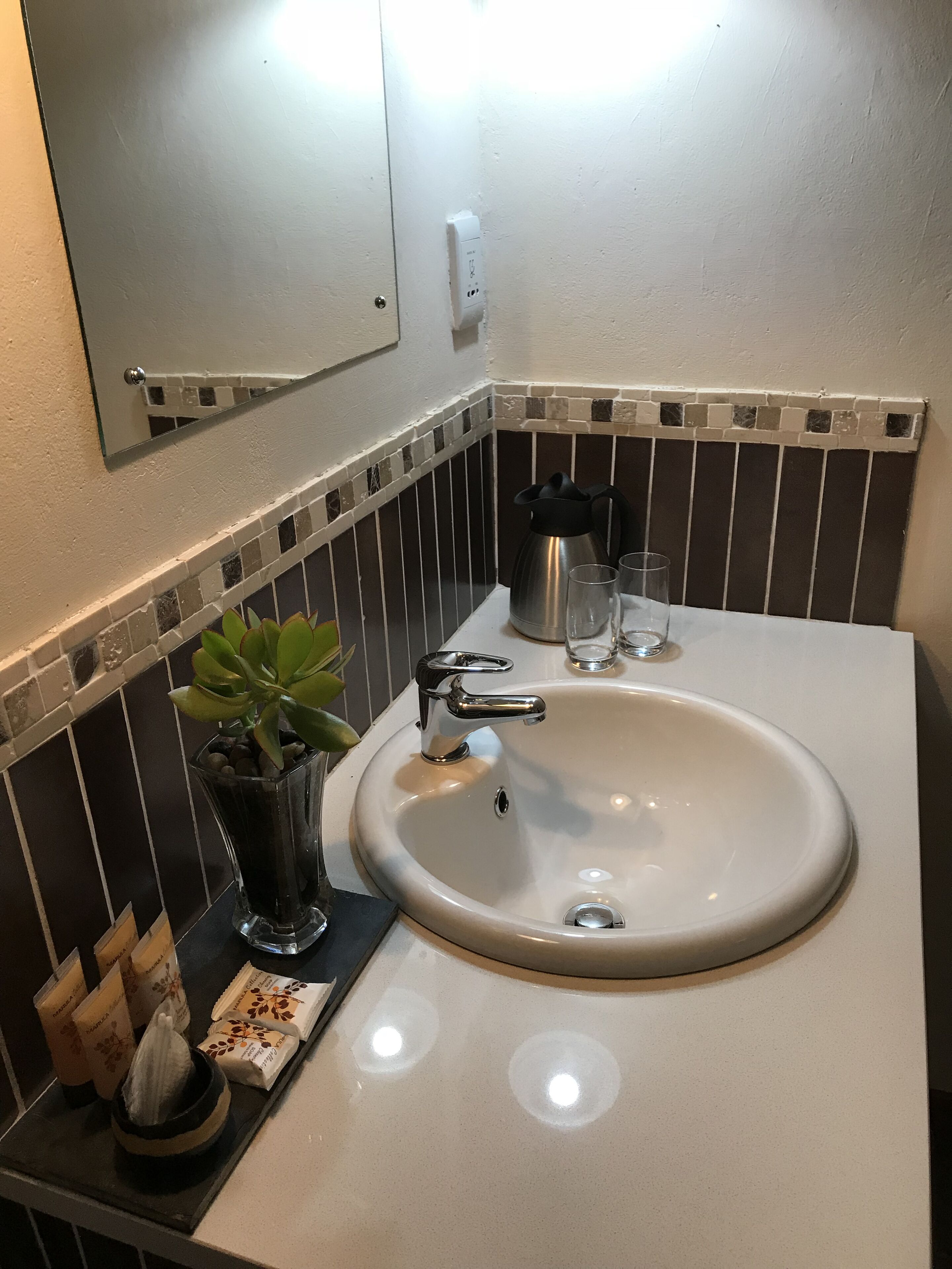 Un baño con un lavamanos blanco, un espejo, una planta en maceta y artículos de aseo.