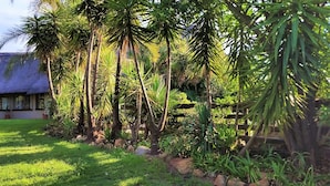 View from property - Pine Tree Lodge (Midrand)