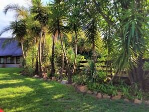 View from property - Pine Tree Lodge (Midrand)