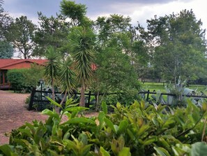 Room - Pine Tree Lodge (Midrand)