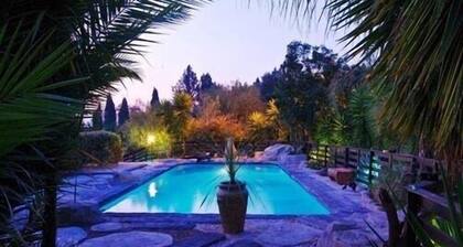 Pine Tree Lodge