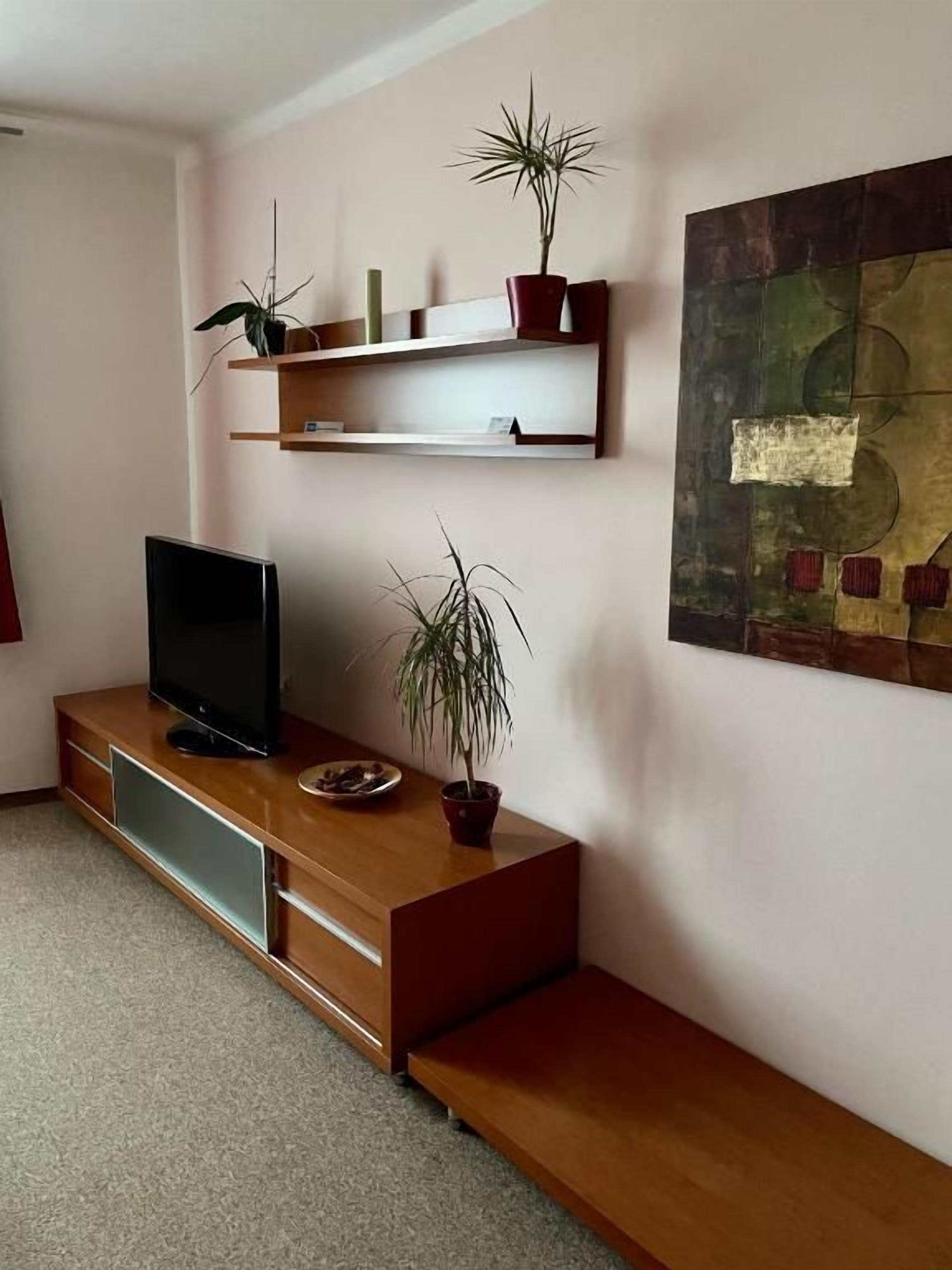 Moderni olohuone, jossa on litteänäyttöinen televisio puisen jalustan päällä, penkki ja kaksi ruukkukasvia hyllyillä.
