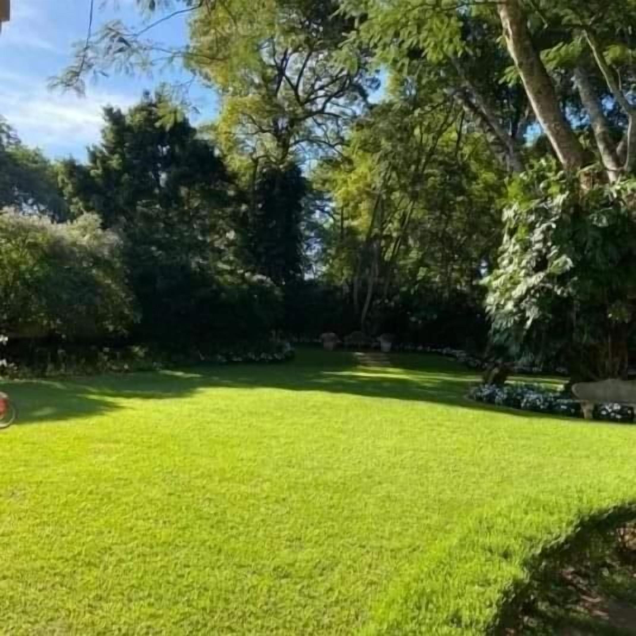 A well-maintained lawn with a variety of trees and shrubs.