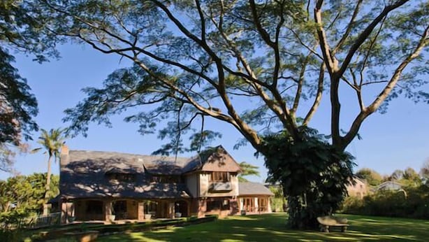A large house with a prominent tree in the foreground. - Eagle Wind Manor (Botha's Hill)