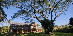 A large house with a prominent tree in the foreground. - Eagle Wind Manor (Botha's Hill)