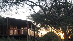 Front of property - evening/night - Pure Nature Familodge (Paterson)
