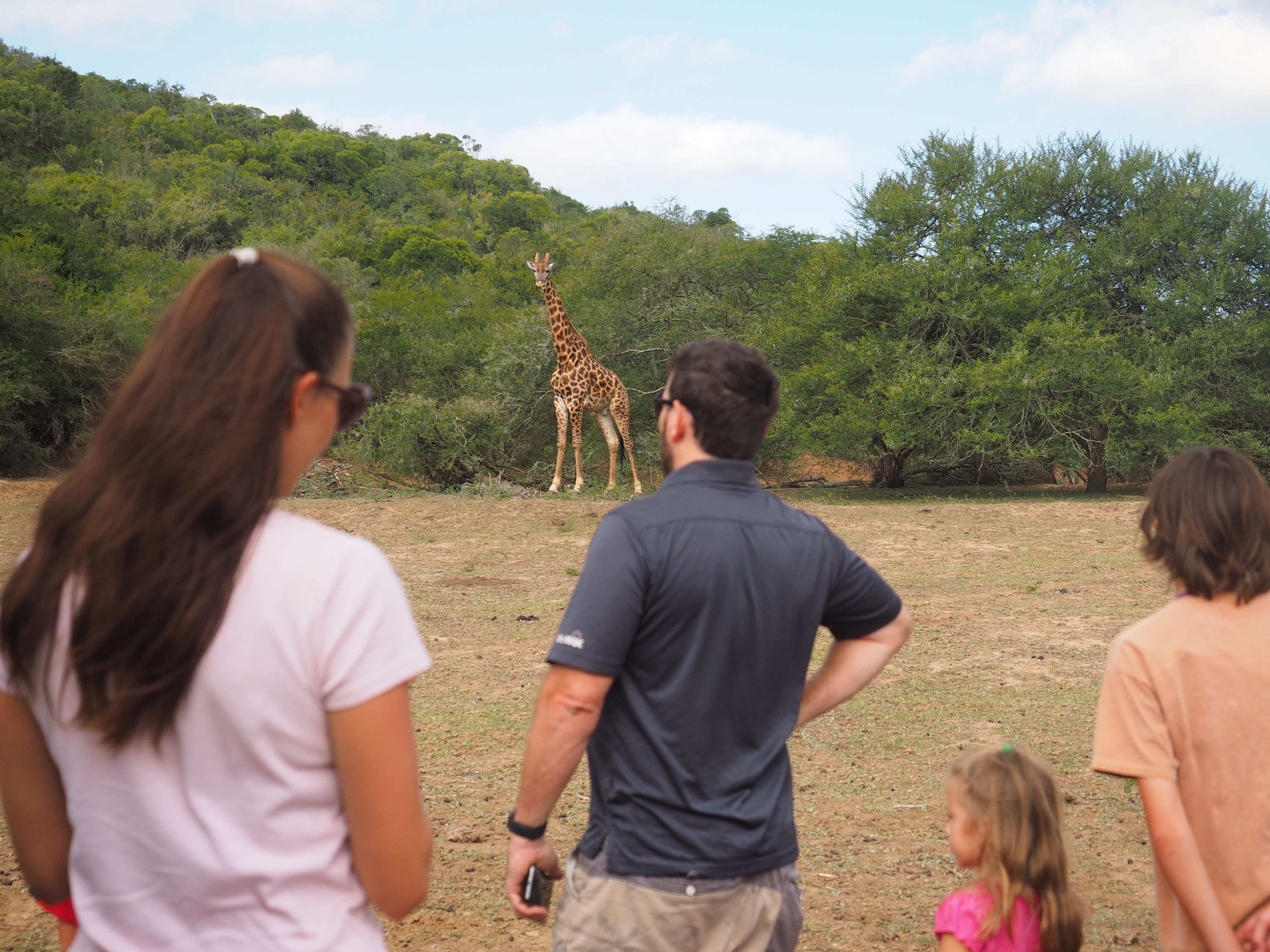 Ecotours