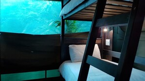 Une chambre avec des lits superposés donnant sur une piscine et des palmiers.
