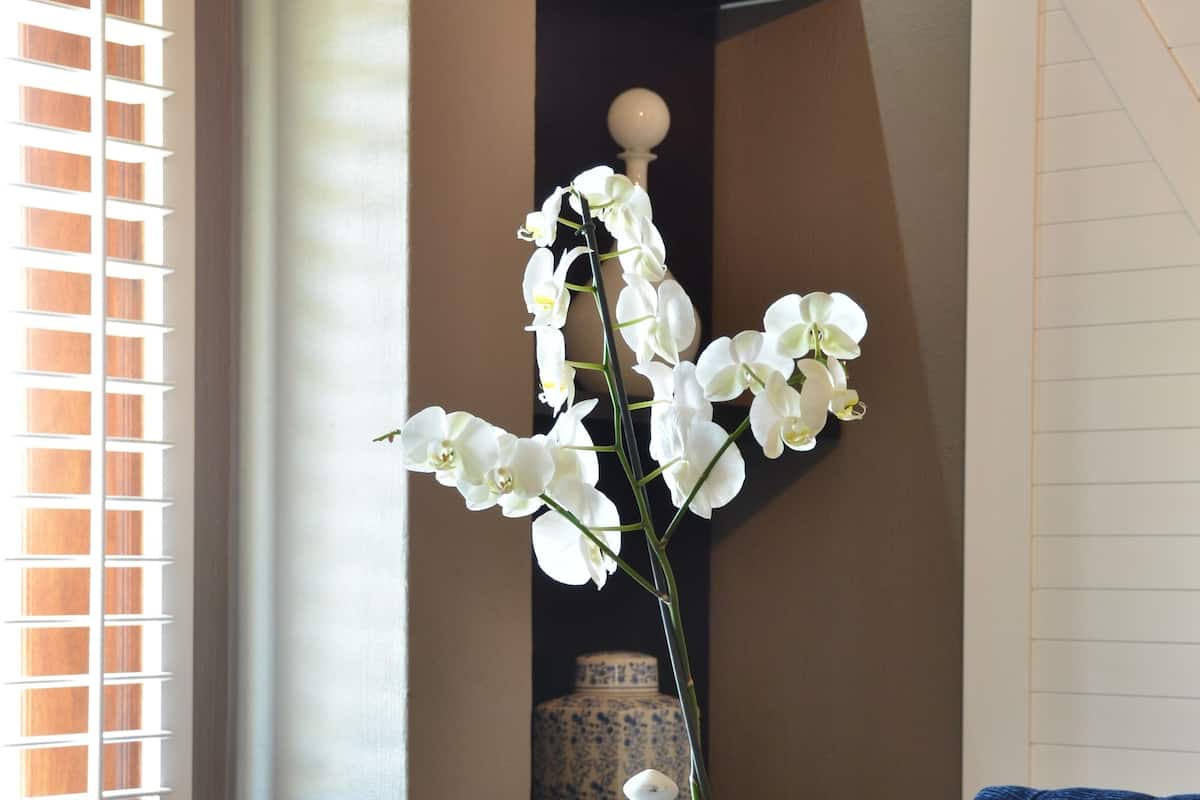 A round wooden table with a white orchid in a white pot, a blue ceramic pot, and a white ceramic container.