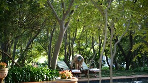 A pool area with lounge chairs and a statue. - De Hoek Country Hotel (Magaliesberg)