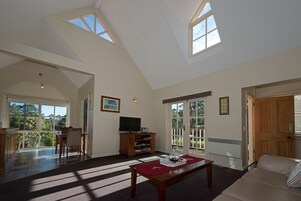 TV de tela plana, lareira, DVD player