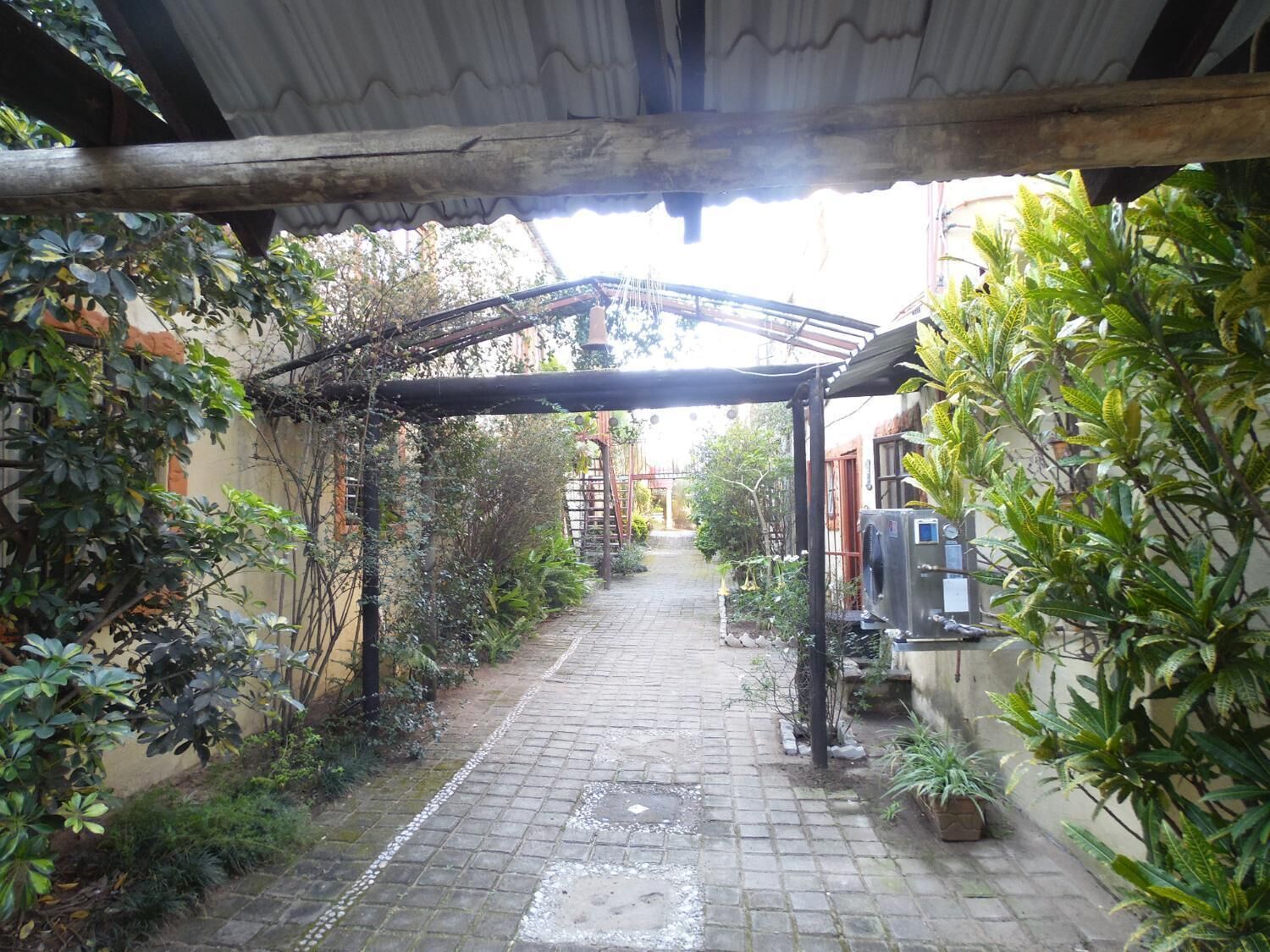 Un étroit sentier en briques traverse un jardin aménagé et abrité, surmonté d’une pergola.