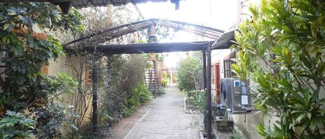 Un étroit sentier en briques traverse un jardin aménagé et abrité, surmonté d’une pergola.