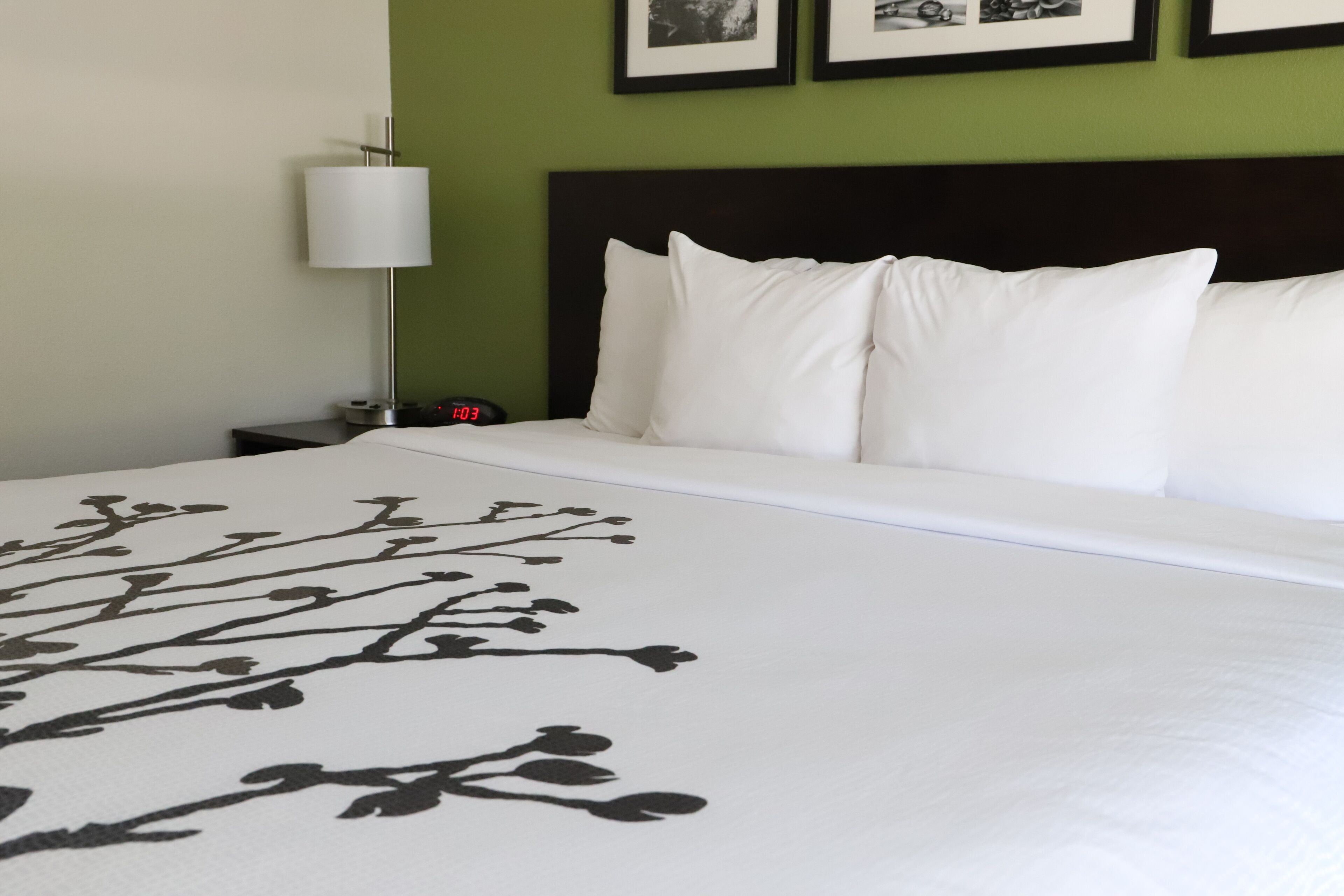 premium bedding, desk, laptop workspace, blackout curtains